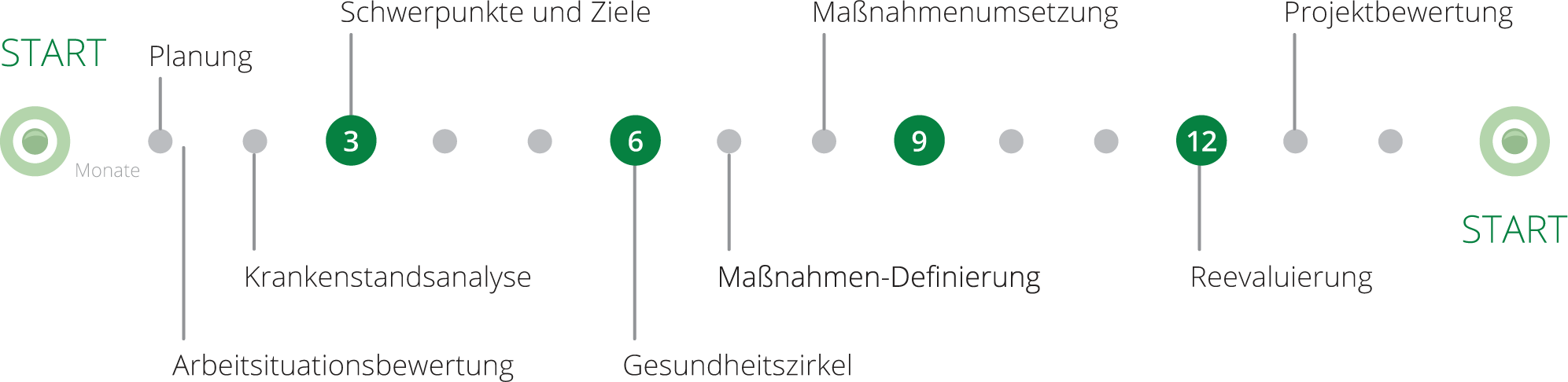 Betriebliche Gesundheitsförderung Zeitplan